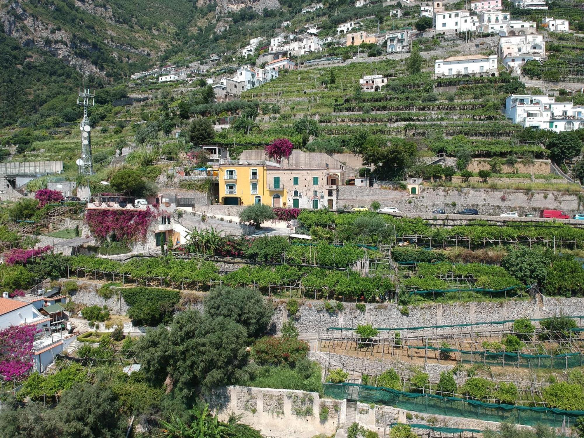 Agriturismo Fuoco D'Amalfi Villa Iazzetta Dış mekan fotoğraf