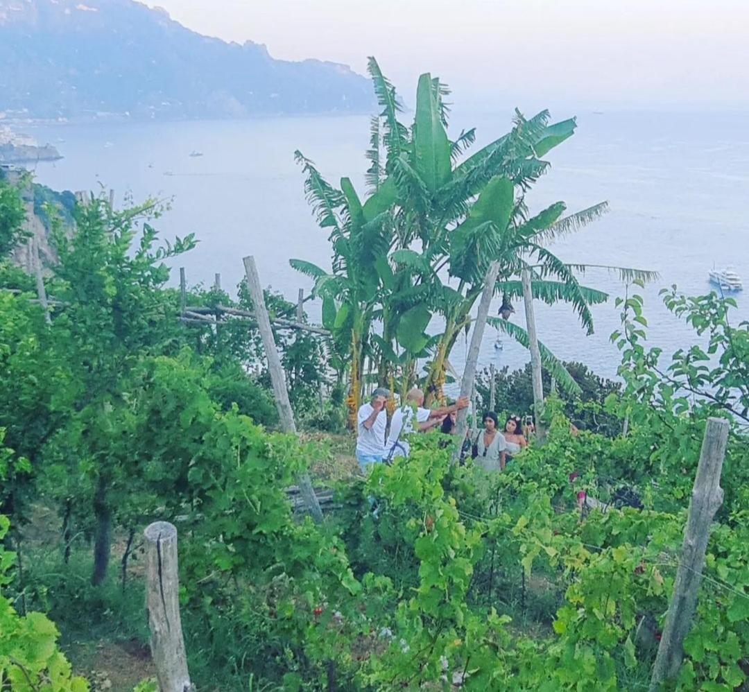 Agriturismo Fuoco D'Amalfi Villa Iazzetta Dış mekan fotoğraf